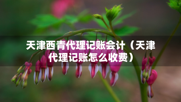 天津西青代理記賬會(huì)計(jì)（天津代理記賬怎么收費(fèi)）