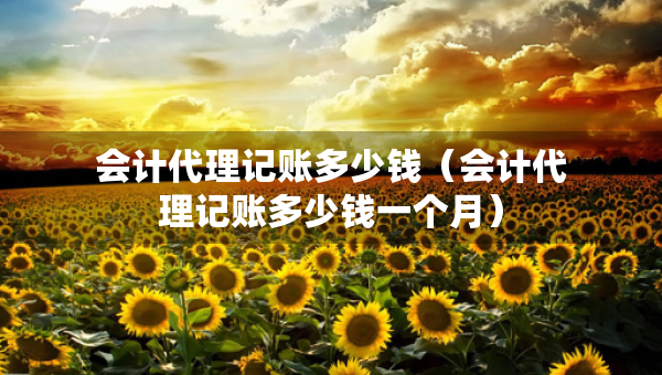 會計代理記賬多少錢（會計代理記賬多少錢一個月）