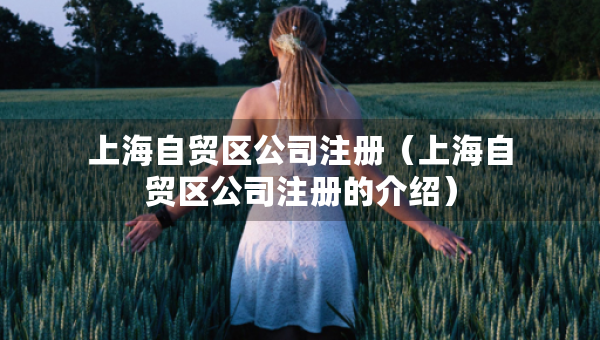 上海自貿(mào)區(qū)公司注冊（上海自貿(mào)區(qū)公司注冊的介紹）