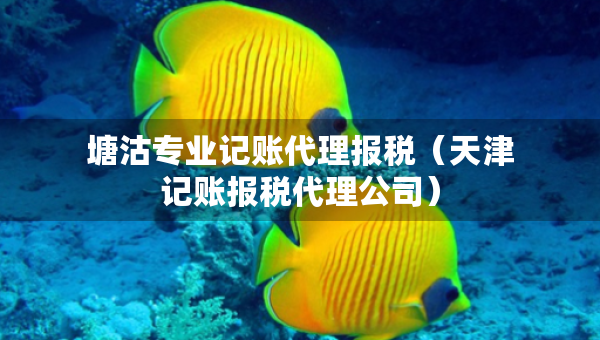 塘沽專業(yè)記賬代理報稅（天津記賬報稅代理公司）