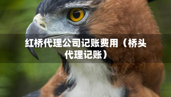 紅橋代理公司記賬費用（橋頭代理記賬）