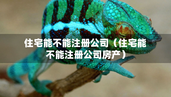 住宅能不能注冊公司（住宅能不能注冊公司房產(chǎn)）