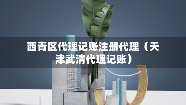 西青區(qū)代理記賬注冊代理（天津武清代理記賬）