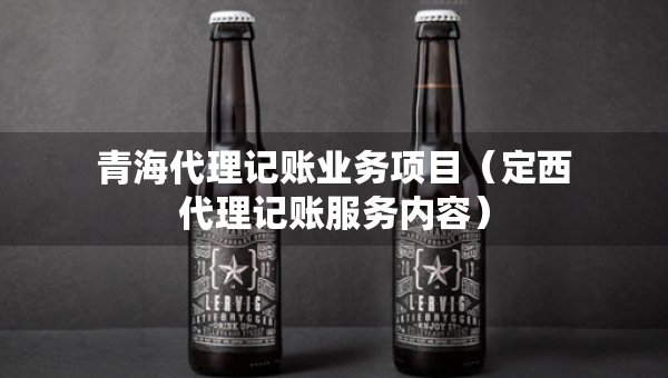 青海代理記賬業(yè)務(wù)項目（定西代理記賬服務(wù)內(nèi)容）