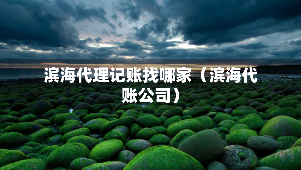 濱海代理記賬找哪家（濱海代賬公司）