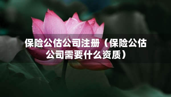保險公估公司注冊（保險公估公司需要什么資質(zhì)）