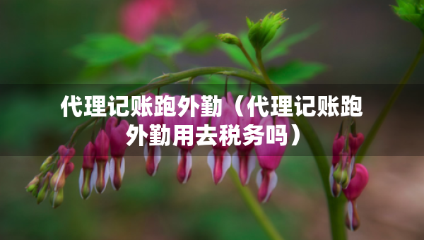 代理記賬跑外勤（代理記賬跑外勤用去稅務(wù)嗎）