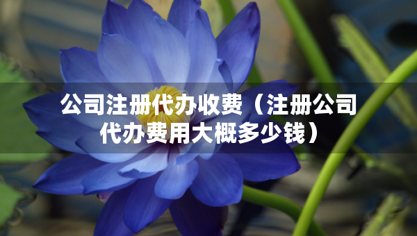 公司注冊代辦收費(fèi)（注冊公司代辦費(fèi)用大概多少錢）