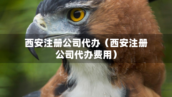 西安注冊(cè)公司代辦（西安注冊(cè)公司代辦費(fèi)用）