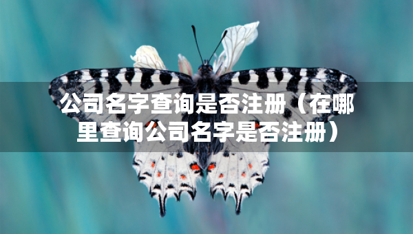 公司名字查詢是否注冊(cè)（在哪里查詢公司名字是否注冊(cè)）