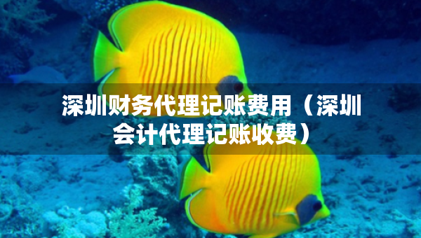 深圳財務(wù)代理記賬費用（深圳會計代理記賬收費）
