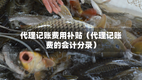 代理記賬費(fèi)用補(bǔ)貼（代理記賬費(fèi)的會(huì)計(jì)分錄）
