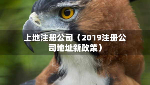 上地注冊公司（2019注冊公司地址新政策）