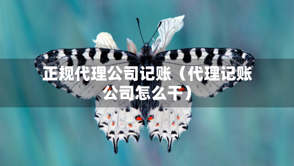 正規(guī)代理公司記賬（代理記賬公司怎么干）