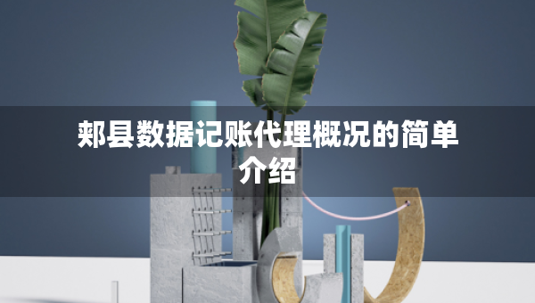 郟縣數(shù)據(jù)記賬代理概況的簡單介紹