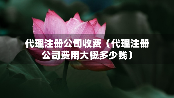 代理注冊公司收費（代理注冊公司費用大概多少錢）