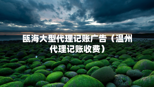 甌海大型代理記賬廣告（溫州代理記賬收費(fèi)）