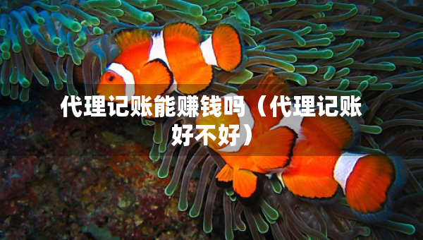 代理記賬能賺錢(qián)嗎（代理記賬好不好）