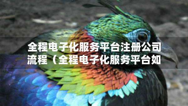 全程電子化服務(wù)平臺注冊公司流程（全程電子化服務(wù)平臺如何申請營業(yè)執(zhí)照）