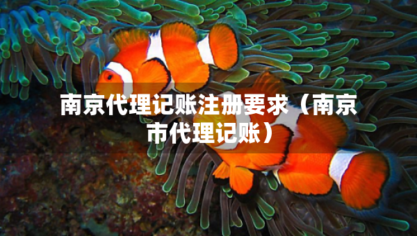 南京代理記賬注冊(cè)要求（南京市代理記賬）