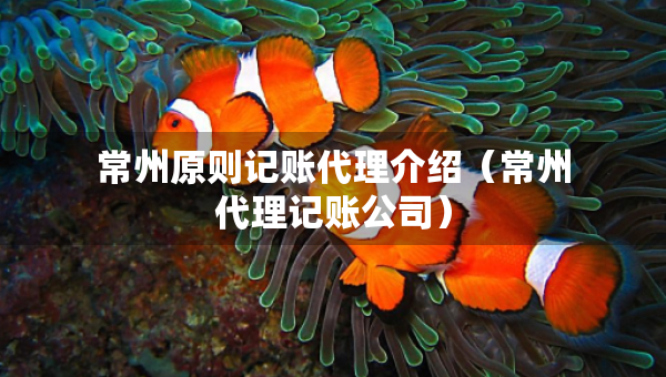 常州原則記賬代理介紹（常州代理記賬公司）