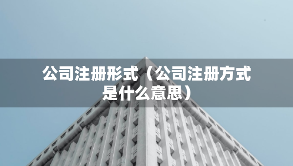 公司注冊形式（公司注冊方式是什么意思）