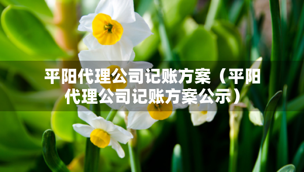 平陽(yáng)代理公司記賬方案（平陽(yáng)代理公司記賬方案公示）
