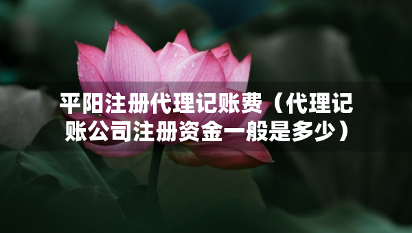 平陽注冊代理記賬費（代理記賬公司注冊資金一般是多少）