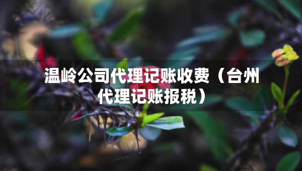 溫嶺公司代理記賬收費(fèi)（臺(tái)州代理記賬報(bào)稅）