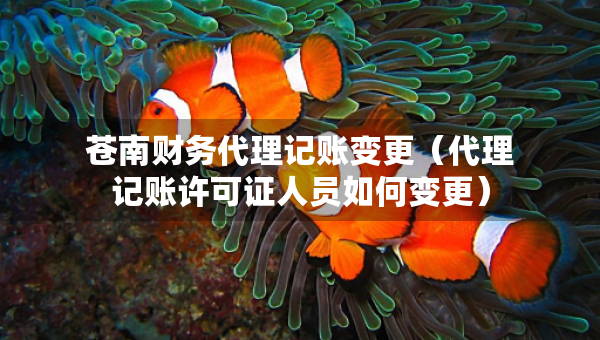 蒼南財(cái)務(wù)代理記賬變更（代理記賬許可證人員如何變更）