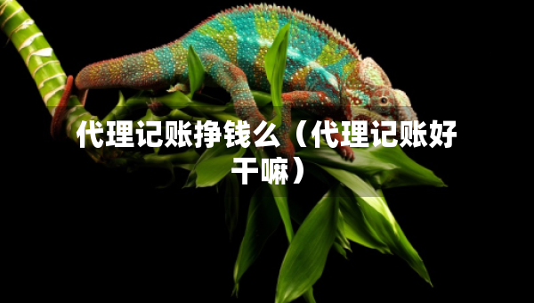 代理記賬掙錢么（代理記賬好干嘛）