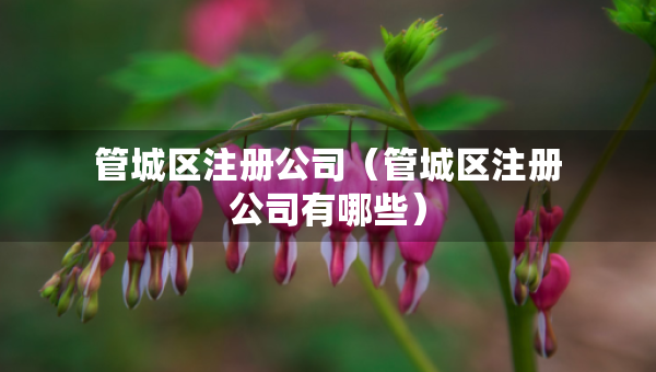 管城區(qū)注冊公司（管城區(qū)注冊公司有哪些）