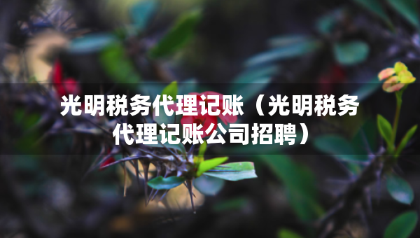 光明稅務(wù)代理記賬（光明稅務(wù)代理記賬公司招聘）