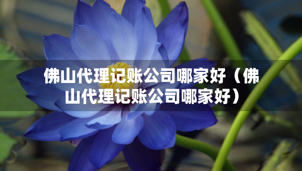 佛山代理記賬公司哪家好（佛山代理記賬公司哪家好）