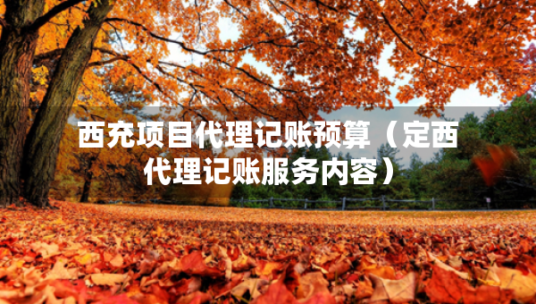西充項目代理記賬預(yù)算（定西代理記賬服務(wù)內(nèi)容）