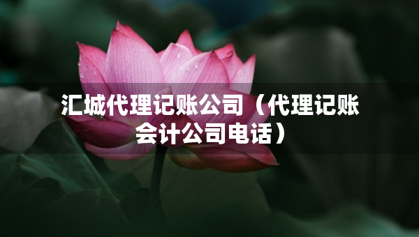 匯城代理記賬公司（代理記賬會計公司電話）
