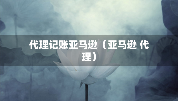 代理記賬亞馬遜（亞馬遜 代理）