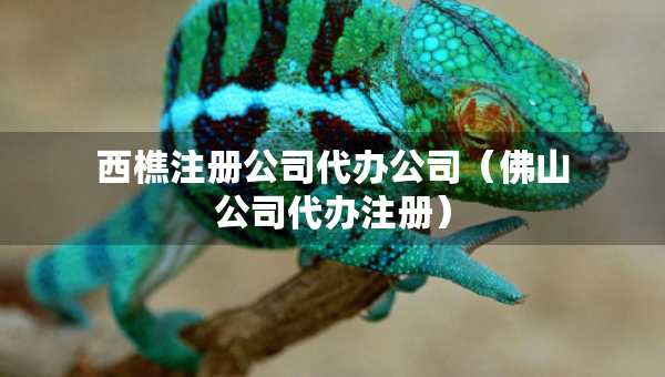 西樵注冊(cè)公司代辦公司（佛山公司代辦注冊(cè)）