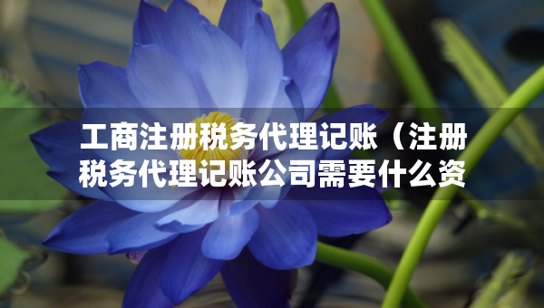 工商注冊(cè)稅務(wù)代理記賬（注冊(cè)稅務(wù)代理記賬公司需要什么資料）