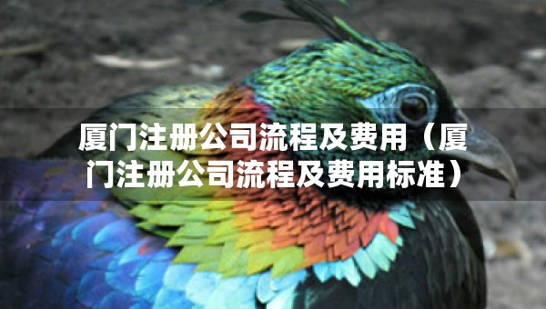 廈門注冊(cè)公司流程及費(fèi)用（廈門注冊(cè)公司流程及費(fèi)用標(biāo)準(zhǔn)）