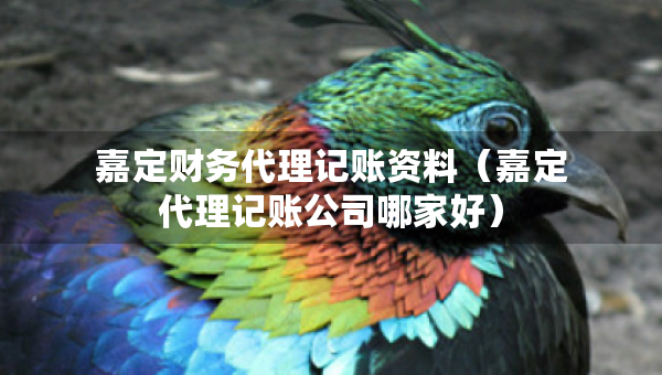 嘉定財(cái)務(wù)代理記賬資料（嘉定代理記賬公司哪家好）