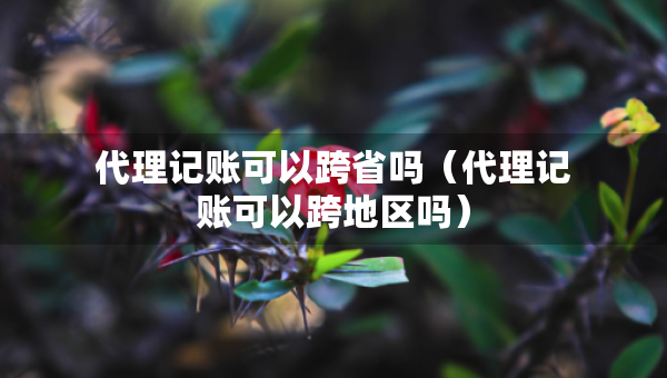 代理記賬可以跨省嗎（代理記賬可以跨地區(qū)嗎）
