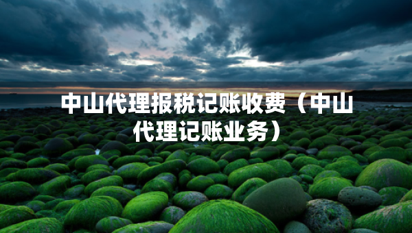 中山代理報(bào)稅記賬收費(fèi)（中山代理記賬業(yè)務(wù)）
