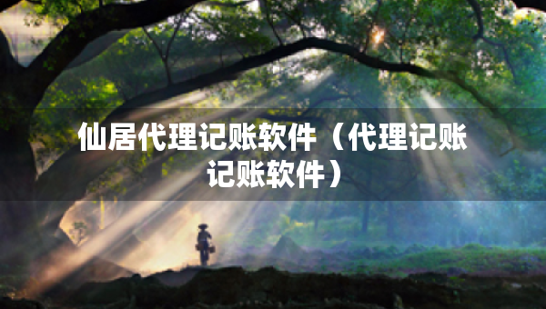 仙居代理記賬軟件（代理記賬記賬軟件）