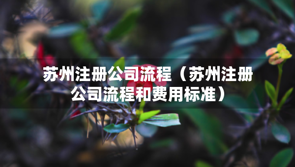 蘇州注冊公司流程（蘇州注冊公司流程和費用標準）
