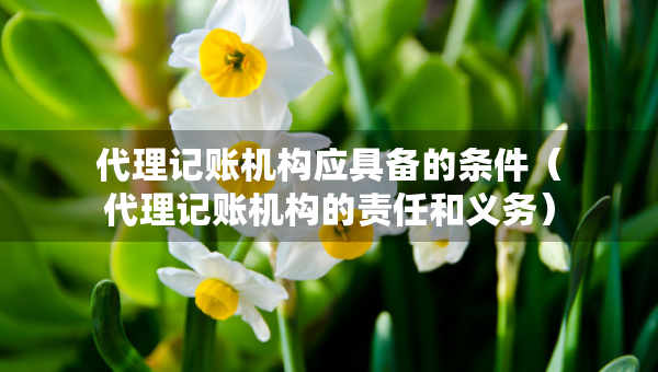 代理記賬機(jī)構(gòu)應(yīng)具備的條件（代理記賬機(jī)構(gòu)的責(zé)任和義務(wù)）