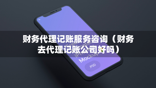 財務(wù)代理記賬服務(wù)咨詢（財務(wù)去代理記賬公司好嗎）