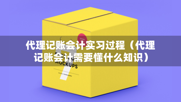 代理記賬會計實習過程（代理記賬會計需要懂什么知識）
