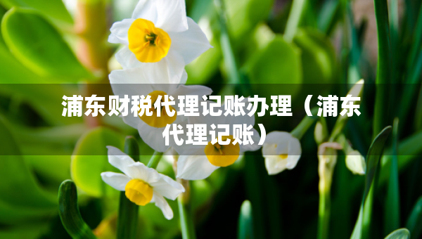 浦東財稅代理記賬辦理（浦東 代理記賬）