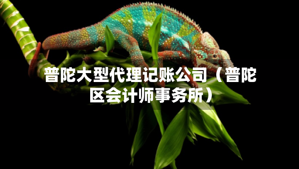 普陀大型代理記賬公司（普陀區(qū)會計師事務(wù)所）